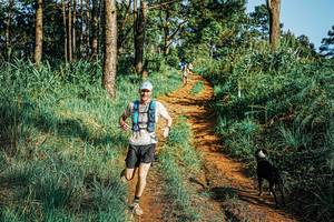 BIB: 
                            <button type="button" onclick="openModal(25654581)" class="btn btn-primary btn-sm float-right btn-popup" data-toggle="modal" data-target=".modal-high-quality">
                        <i class="fas fa-shopping-cart"></i> Add to Cart
                    </button>
                                            <button type="button" onclick="isThisMe(25654581, true)" class="btn btn-success btn-sm float-right btn-popup btn-isme hidden" data-toggle="tooltip" data-placement="bottom" title="นี่คือรูปของคุณใช่ไหม คลิกที่นี่เพื่อเอาเข้าอัลบั้ม">
                        <i class="fas fa-plus"></i> Add to album
                    </button>
                    <button type="button" onclick="isThisMe(25654581, false)" class="btn btn-warning btn-sm float-right btn-popup btn-isnotme hidden">
                        <i class="fas fa-ban"></i> Remove from album
                    </button>